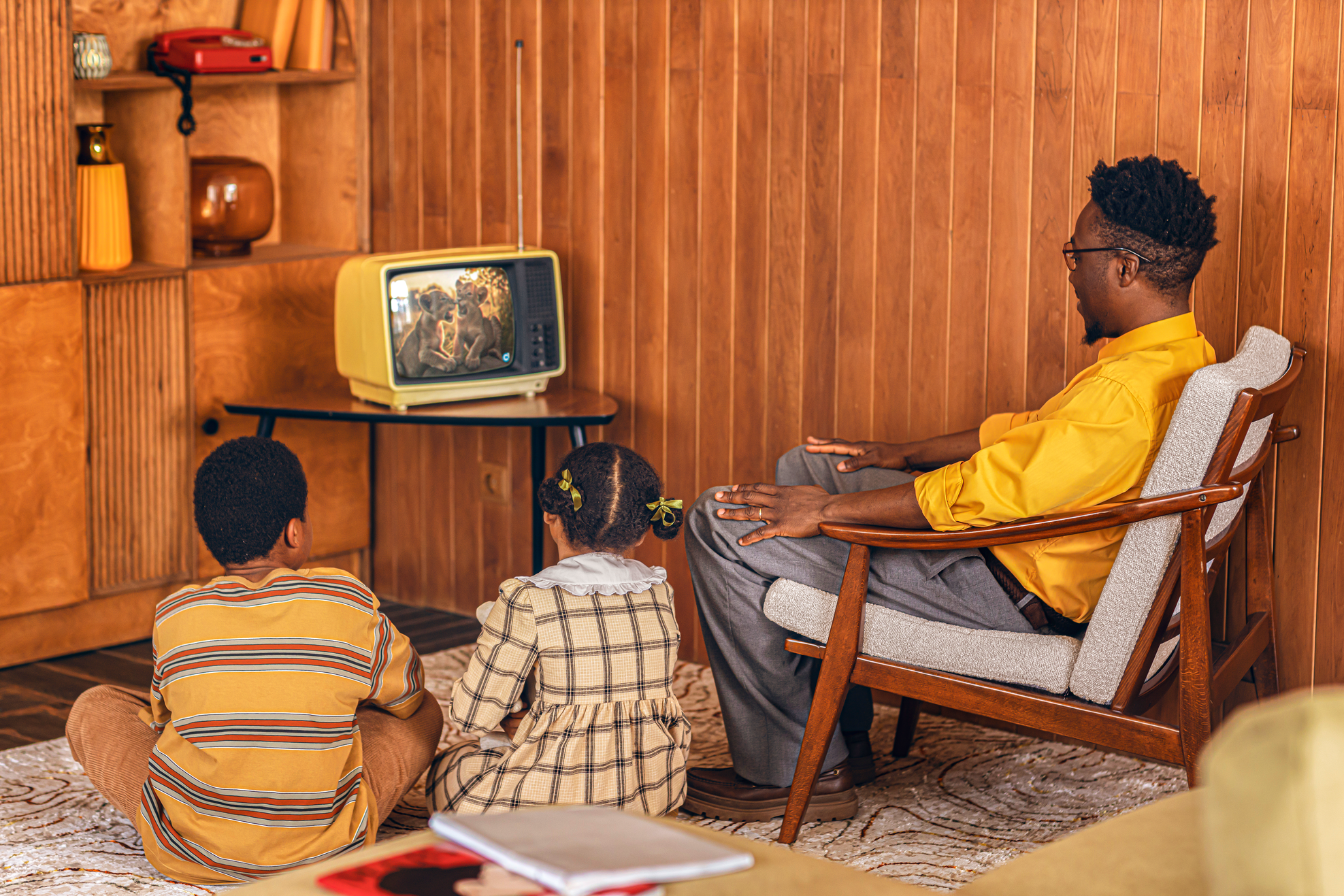 Image Pourquoi la télévision demeure le media n•1 dans les plans medias des annonceurs